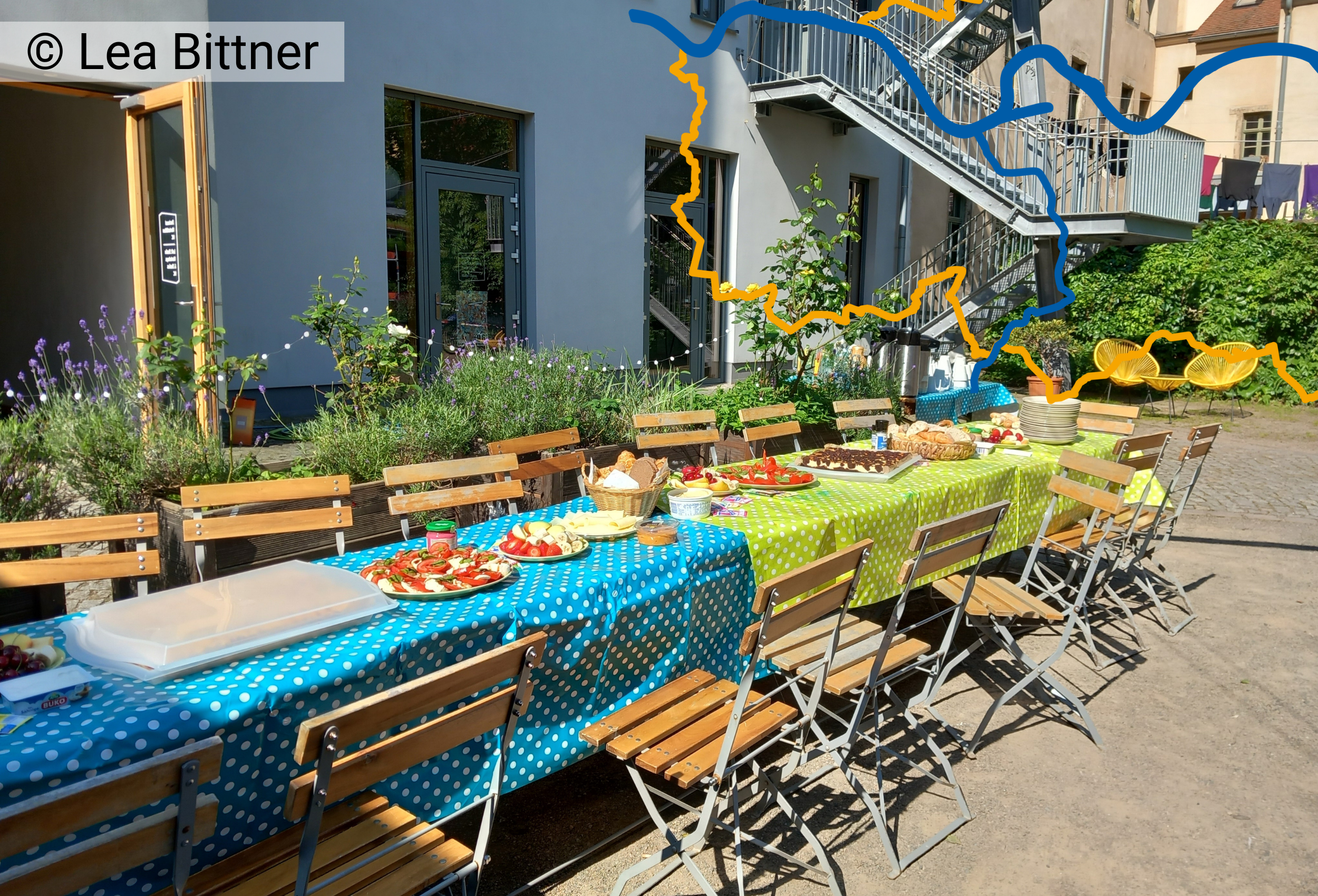 Lange Tafel mit Kuchen im Sonnenschein beim riesa efau 