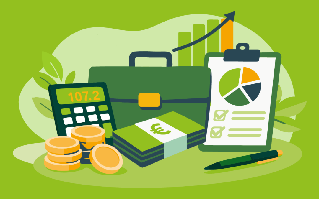 Die Förderprogramme der DSEE