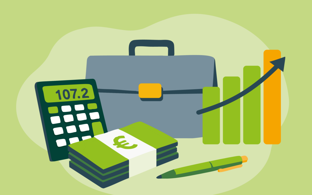 Die Förderprogramme der DSEE